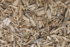 biomass boilers Sandhead